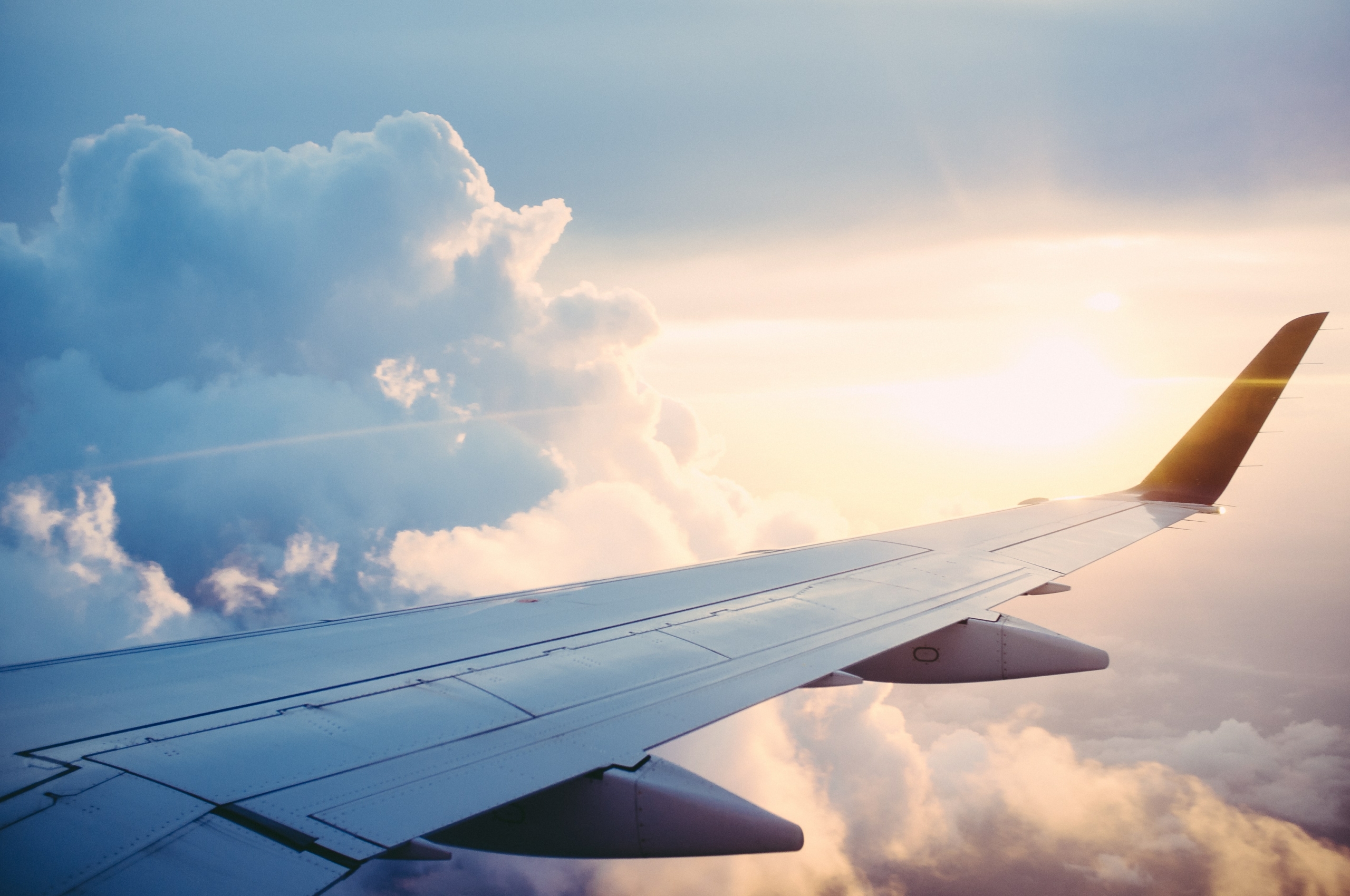 plane wing plane wing